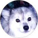 森江塁(Rui Molie) profile picture